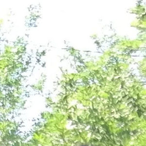 Meet your Posher, Paige